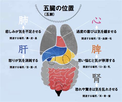 東洋醫學 膵臓 感情